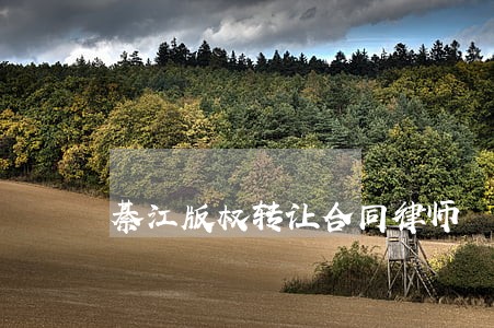 綦江版权转让合同律师 綦江版权转让合同律师