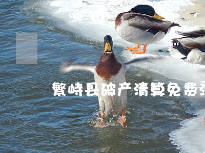 繁峙县破产清算免费法律咨询热线 繁峙县破产清算免费法律咨询热线