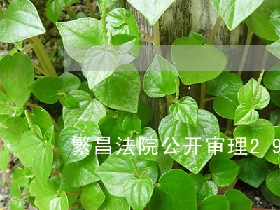 繁昌法院公开审理29人涉黑案 繁昌法院公开审理29人涉黑案