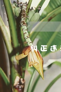 纠正违法通知书引用法条 纠正违法通知书引用法条