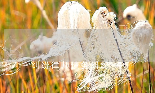 纠纷律师债务纠纷 纠纷律师债务纠纷