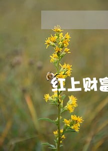 红上财富和系列逾期 红上财富和系列逾期