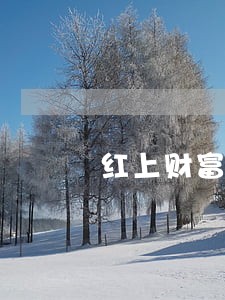 红上财富逾期怎么样