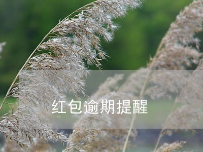 红包逾期提醒