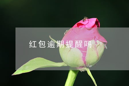 红包逾期提醒吗 红包逾期提醒吗