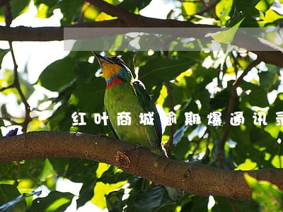 红叶商城逾期爆通讯录 红叶商城逾期爆通讯录