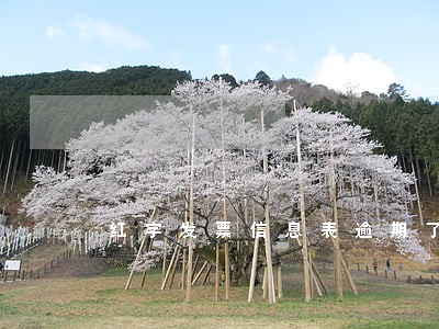 红字发票信息表逾期了 红字发票信息表逾期了