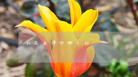 红安县律师哪个好 红安县律师哪个好