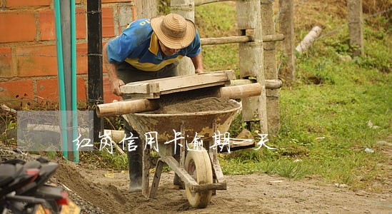 红岗信用卡逾期一天 红岗信用卡逾期一天