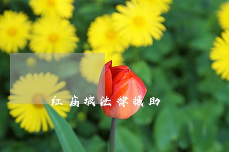 红庙坡法律援助 红庙坡法律援助