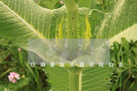 红旗豪庭乳源法院拍卖 红旗豪庭乳源法院拍卖