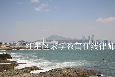 红星区求学教育在线律师 红星区求学教育在线律师
