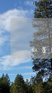 红星路交通违法 红星路交通违法