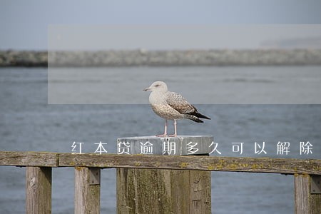 红本贷逾期多久可以解除 红本贷逾期多久可以解除