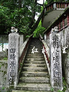 红树林里抓螃蟹违法吗 红树林里抓螃蟹违法吗
