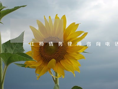 红桥债务律师咨询电话 红桥债务律师咨询电话