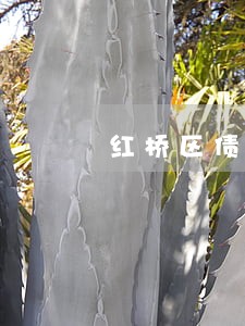 红桥区债权债务律师事务所 红桥区债权债务律师事务所