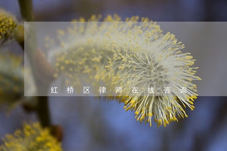 红桥区律师在线咨询 红桥区律师在线咨询
