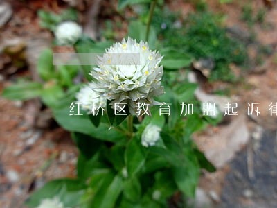 红桥区教育加盟起诉律师 红桥区教育加盟起诉律师