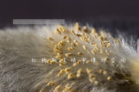 红桥取保候审律师咨询 红桥取保候审律师咨询