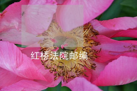 红桥法院邮编 红桥法院邮编
