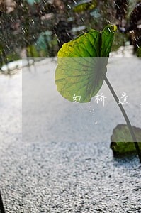 红桥遗产房产继承律师 红桥遗产房产继承律师
