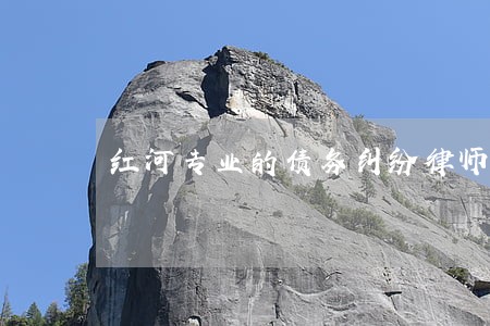 红河专业的债务纠纷律师案件 红河专业的债务纠纷律师案件