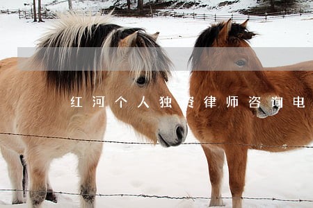 红河个人独资律师咨询电话