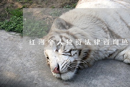 红河个人独资法律咨询热线 红河个人独资法律咨询热线