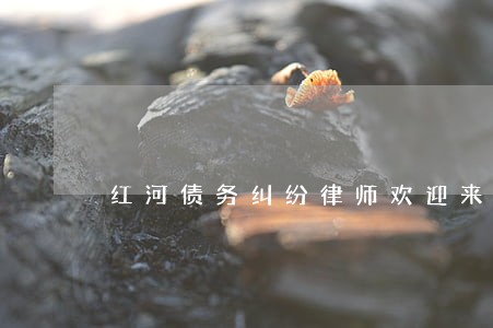 红河债务纠纷律师欢迎来电咨询 红河债务纠纷律师欢迎来电咨询