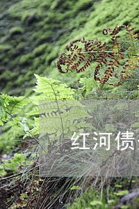 红河债务纠纷律师热线 红河债务纠纷律师热线