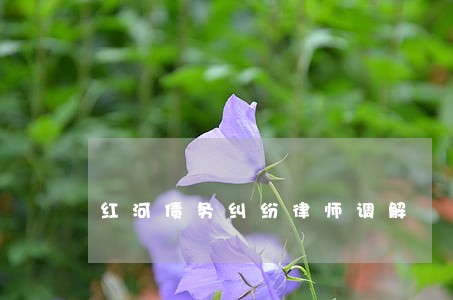 红河债务纠纷律师调解 红河债务纠纷律师调解