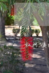 红河债权债务纠纷律师咨询电话 红河债权债务纠纷律师咨询电话