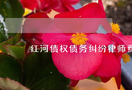 红河债权债务纠纷律师费用 红河债权债务纠纷律师费用