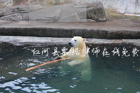 红河县票据律师在线免费咨询 红河县票据律师在线免费咨询