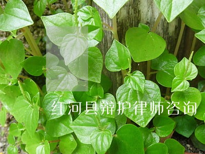 红河县辩护律师咨询 红河县辩护律师咨询