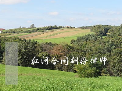 红河合同纠纷律师 红河合同纠纷律师