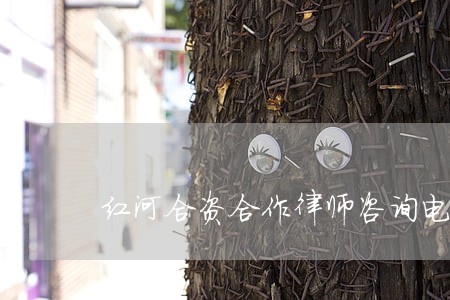 红河合资合作律师咨询电话