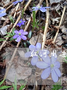 红河周边合同纠纷律师 红河周边合同纠纷律师