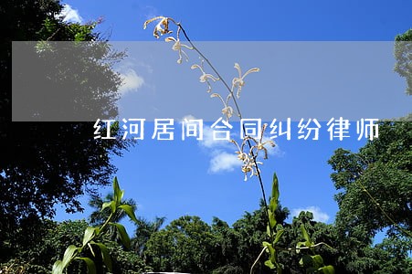 红河居间合同纠纷律师 红河居间合同纠纷律师