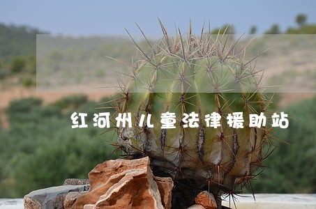 红河州儿童法律援助站 红河州儿童法律援助站