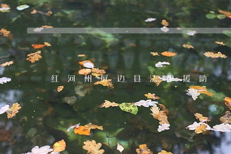 红河州屏边县法律援助 红河州屏边县法律援助