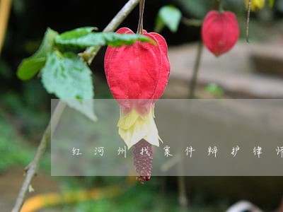 红河州找案件辩护律师 红河州找案件辩护律师