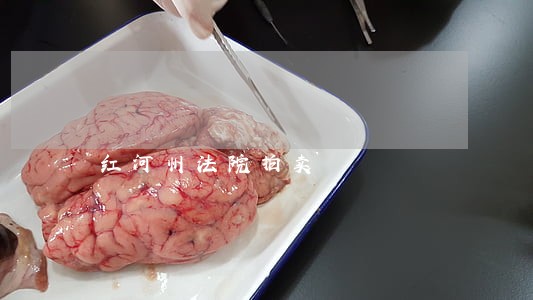 红河州法院拍卖 红河州法院拍卖
