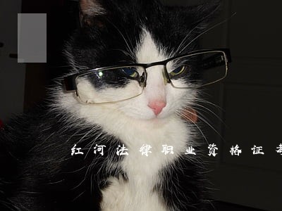 红河法律职业资格证考试培训班