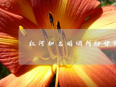 红河知名婚姻纠纷律师 红河知名婚姻纠纷律师