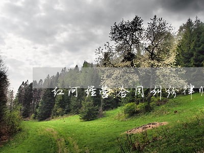 红河经营合同纠纷律师 红河经营合同纠纷律师