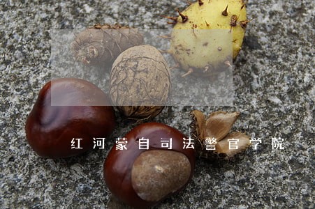 红河蒙自司法警官学院 红河蒙自司法警官学院