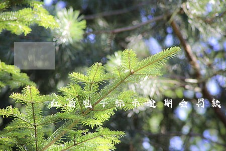 红盾电子标示逾期会罚款 红盾电子标示逾期会罚款