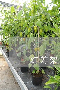 红筹架构法规 红筹架构法规